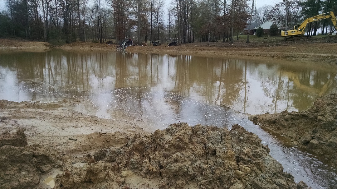 Attached picture 24th pic of pond after 2 inches of rain Jan 2016.jpg